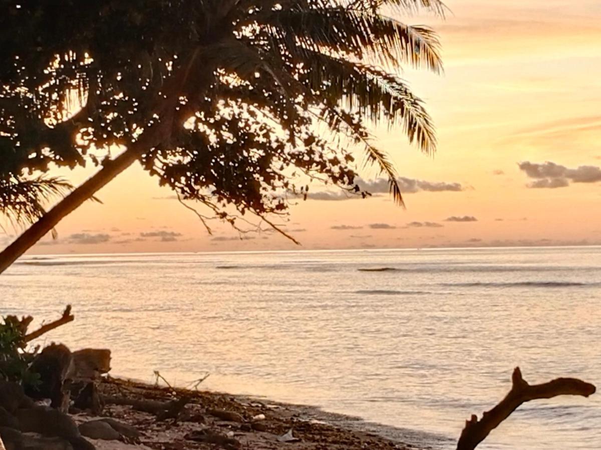 Rumah Nalu Surf Camp Krui エクステリア 写真