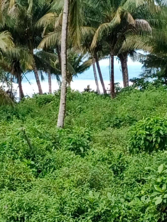Rumah Nalu Surf Camp Krui エクステリア 写真